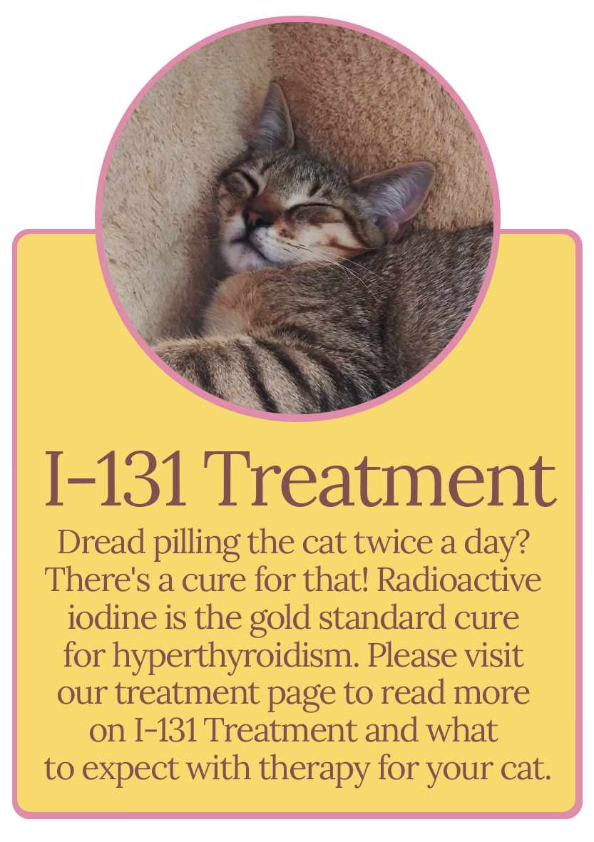 I-131 Treatment