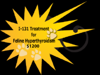 I-131 Treatment for Feline Hyperthyroidism